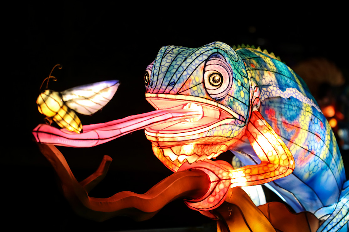 A lantern in the shape of a chameleon with its tongue outstretched. 