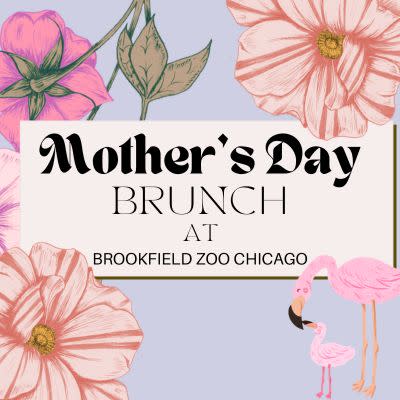 A logo that says Mother's Day Brunch at Brookfield Zoo Chicago