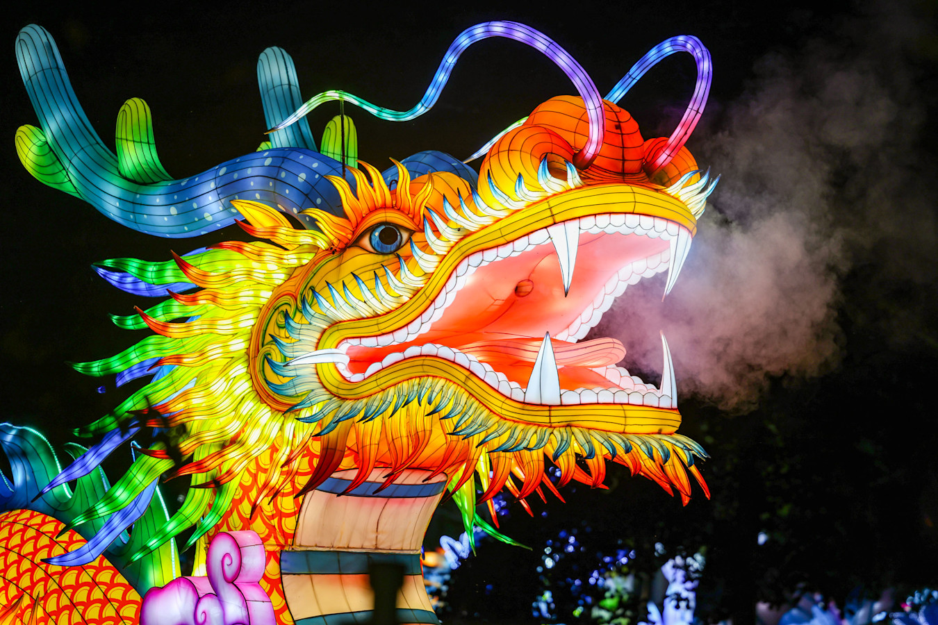 an image of a dragon lantern, it's a close up of its face breathing smoke