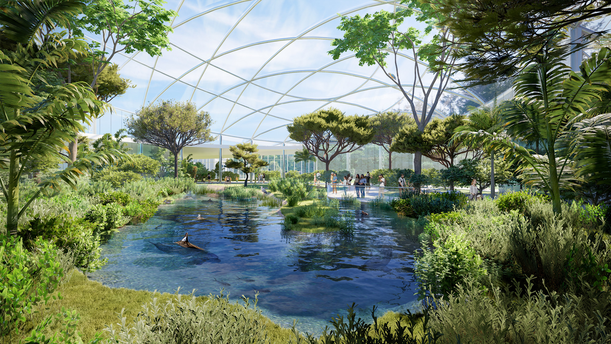 An artist's rendering of a new, indoor/outdoor shallow-lagoon habitat for dolphins at Brookfield Zoo Chicago.