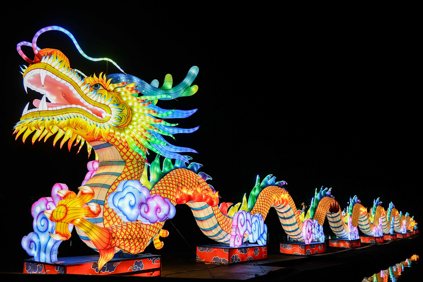 an image of a dragon lantern
