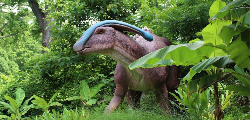 An animatronic of a dinosaur peeking out of the trees