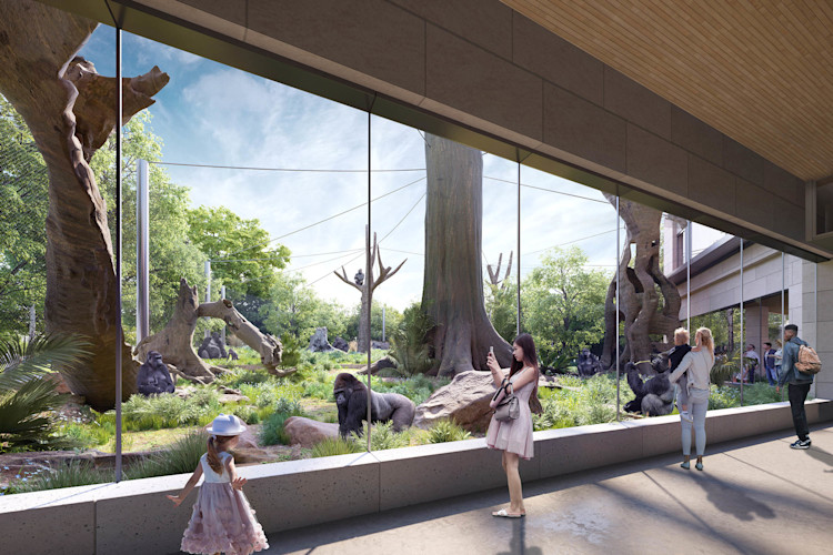 A rendering of the new Bramsen Tropical Forests habitat that Brookfield Zoo Chicago will have under the Next Century Plan