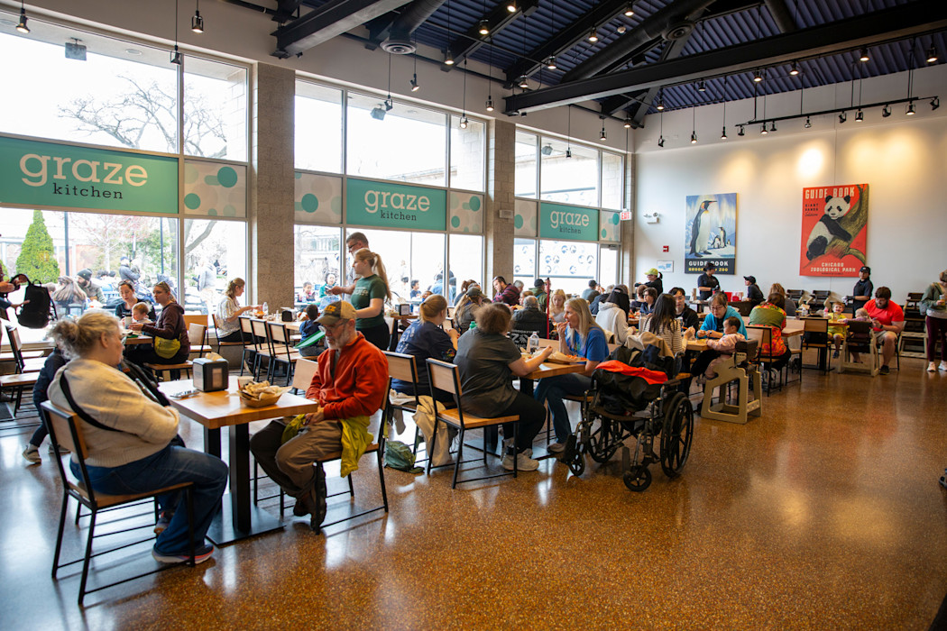 Guests sit at tables eating lunch. 