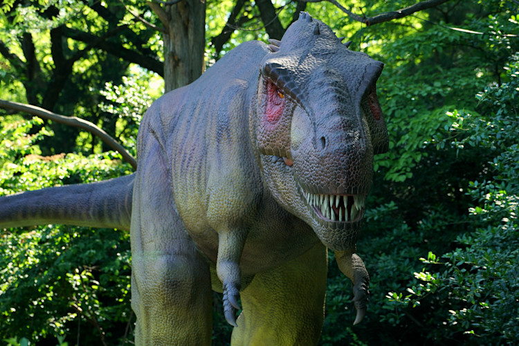 An animatronic T. Rex stands in a forested area. 