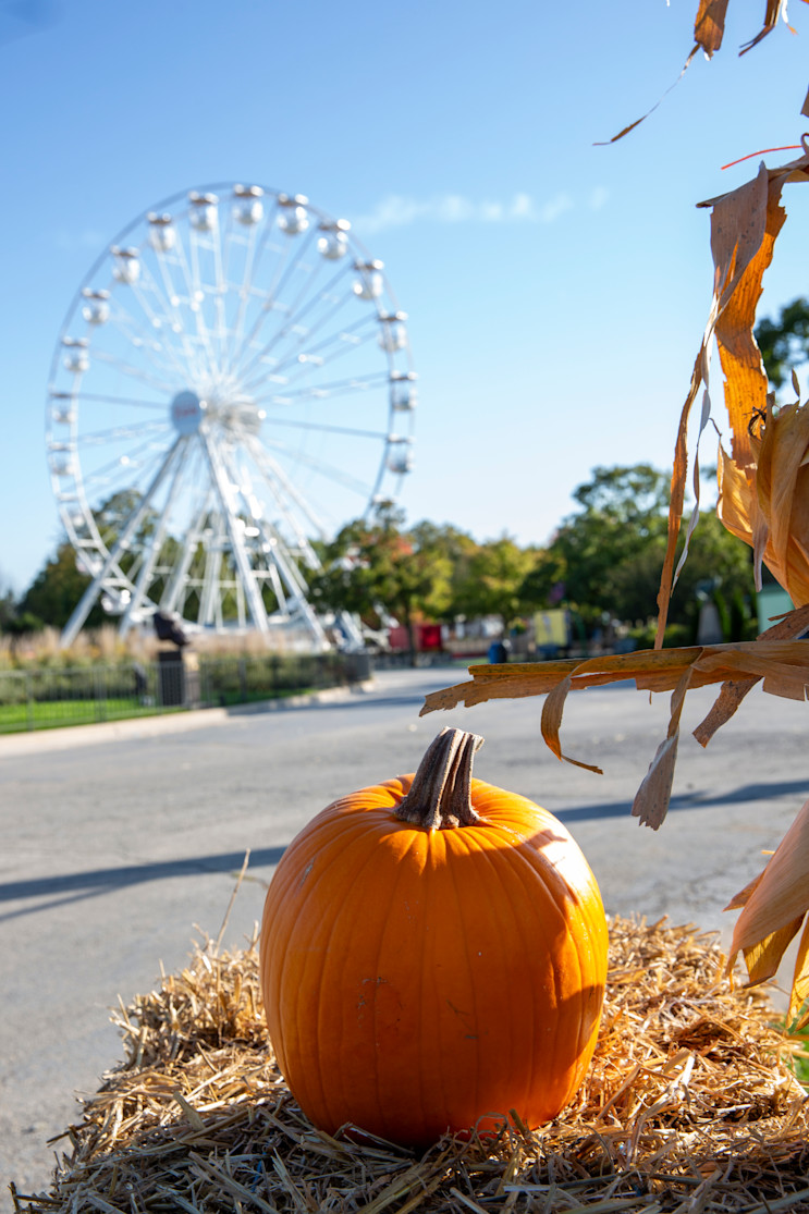 A pumpkin sits on a hay bale
