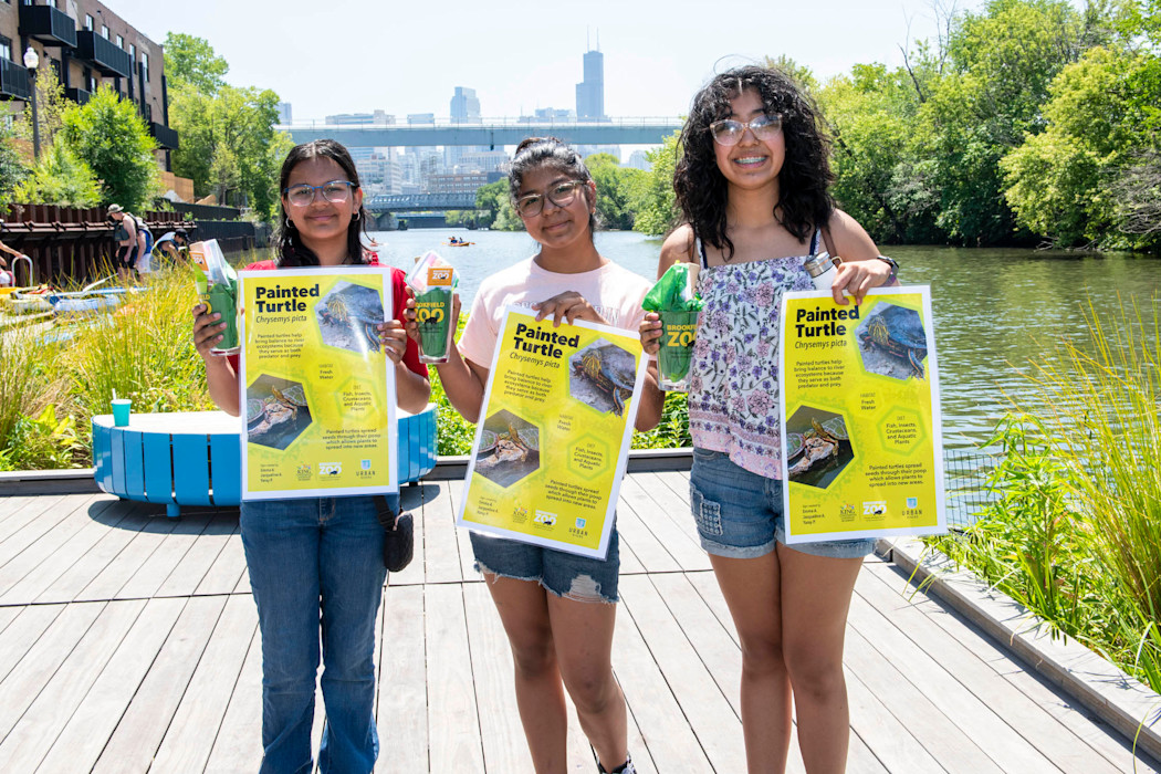 Three middle school-aged students stand on a dock next to the Chicago river, holding up papers about painted turtles. 