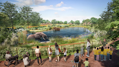 A rendering of the new Gateway to Africa (South African Forests) habitat that Brookfield Zoo Chicago will have under the Next Century Plan.