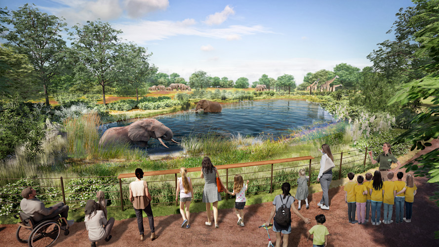 A rendering of the new Gateway to Africa (South African Forests) habitat that Brookfield Zoo Chicago will have under the Next Century Plan.
