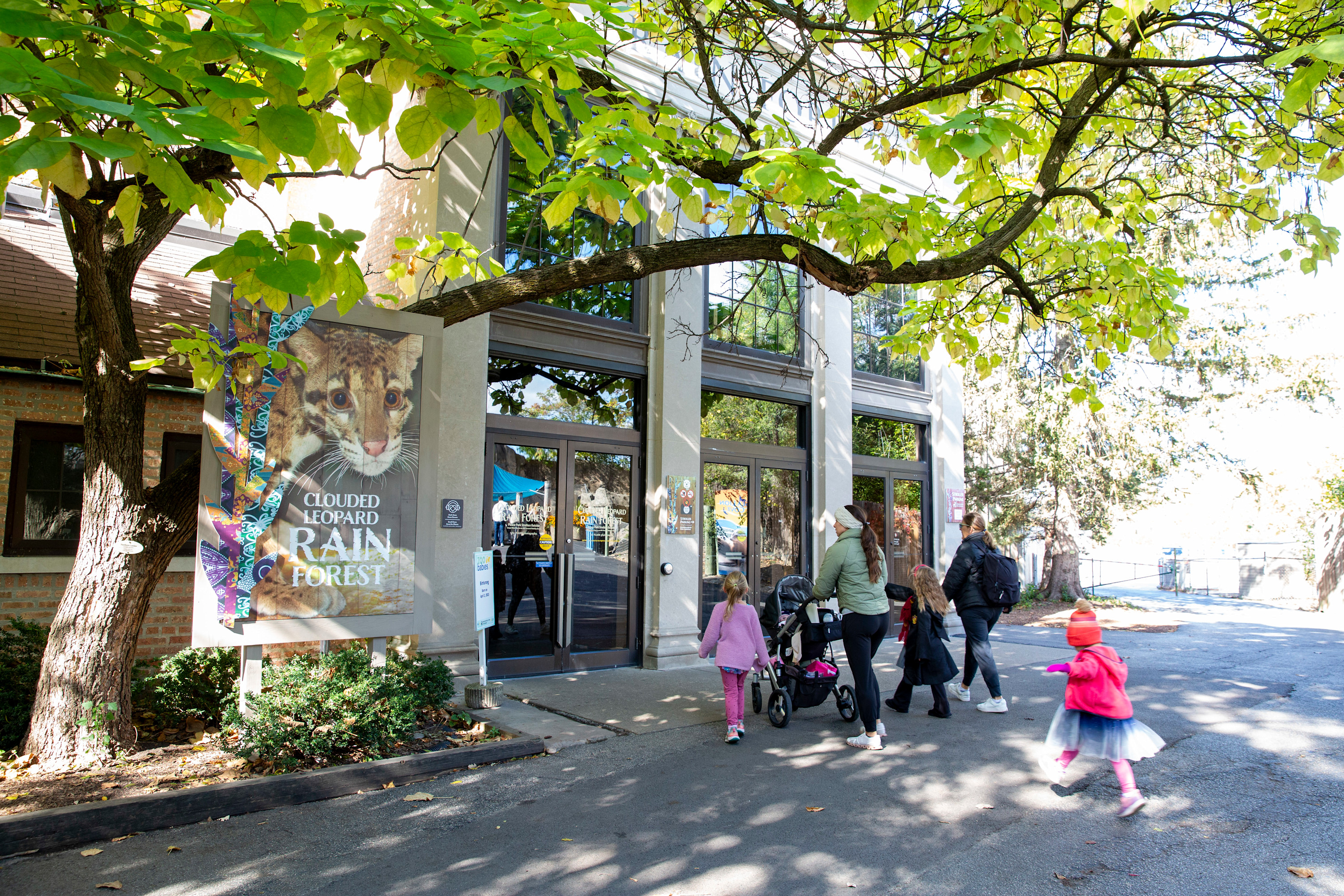 Guests walk in to Clouded Leopard Rain Forest habitat.