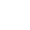Dolphin icon