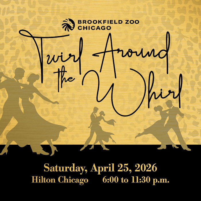 Twirl Around the Whirl is written over illustrations of people dancing. 