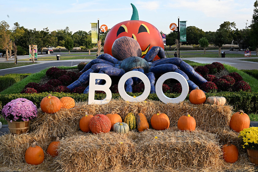 The word Boo sits on top of hay bales covered in pumpkins. 