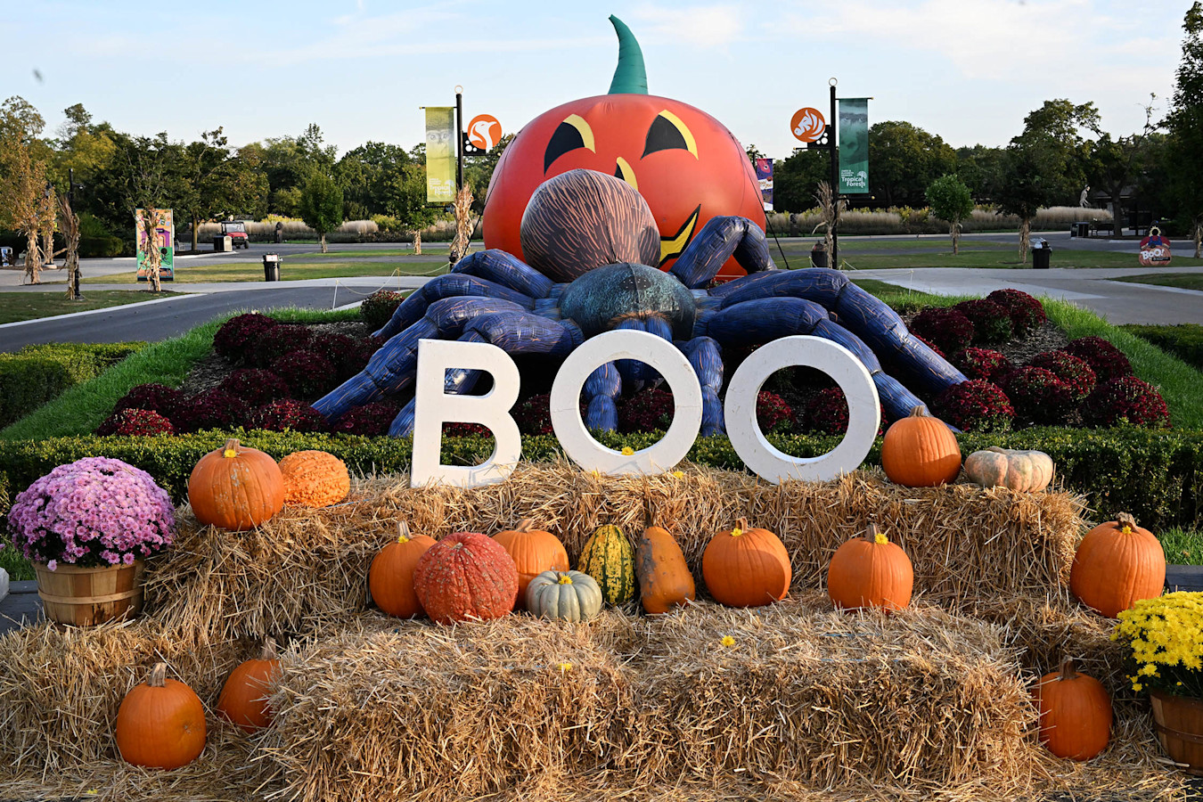 The word Boo sits on top of hay bales covered in pumpkins.