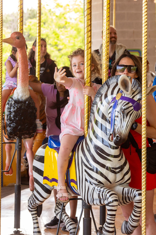 Child waving while riding zebra on Carousel