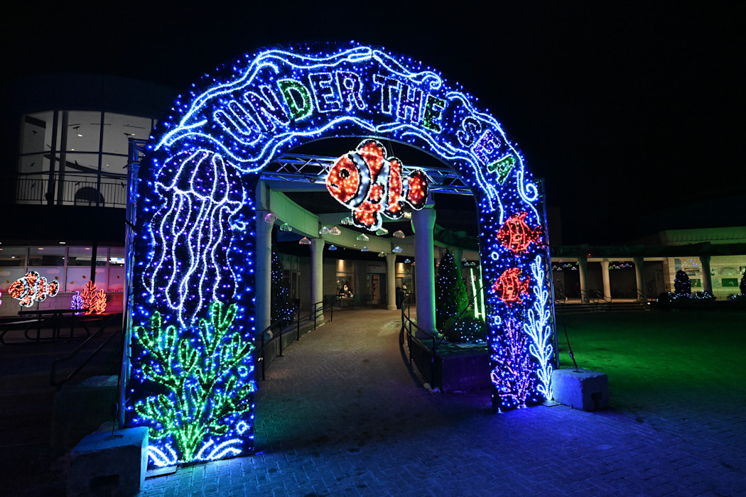 An arch made out of Christmas lights that show an ocean scene. 