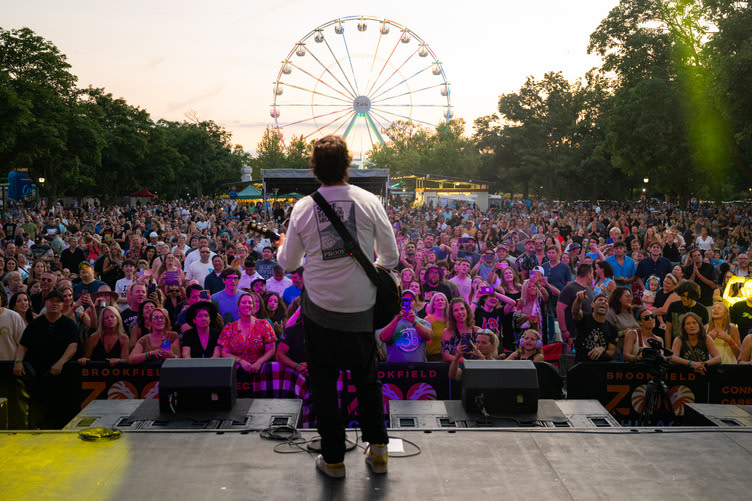A man playing a guitar in front of a crowd and Ferris wheel. 
