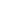 Zebra icon