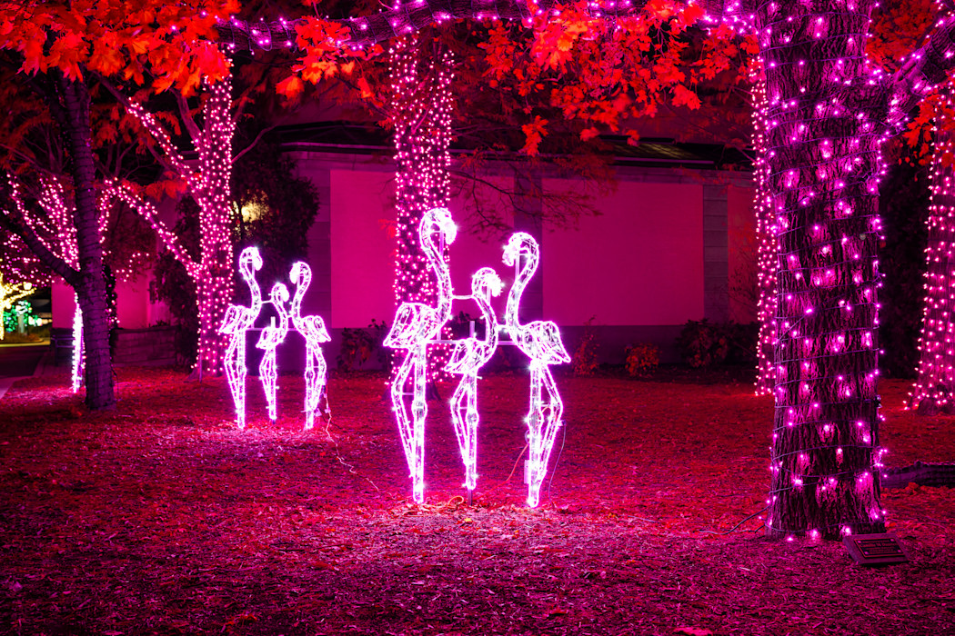 Pink flamingo lights shine at Holiday Magic. 