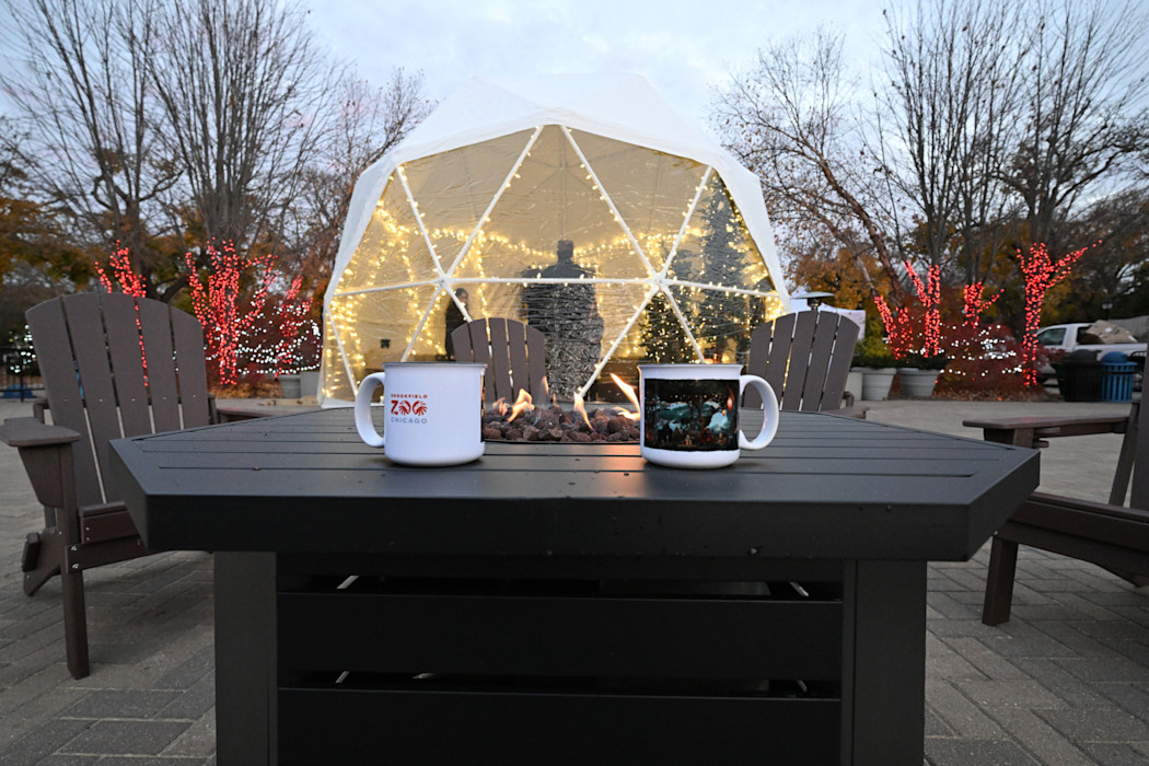 A structure that looks like an igloo is sitting behind a firepit. 