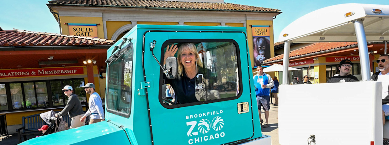 A motor safari driver waves from her window at Brookfield Zoo Chicago.