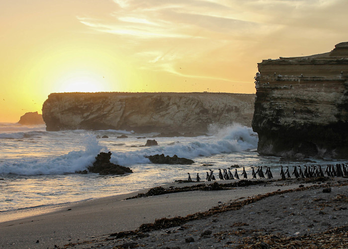 A sunset over the beach of Punta San Juan, where penguins are walking. 