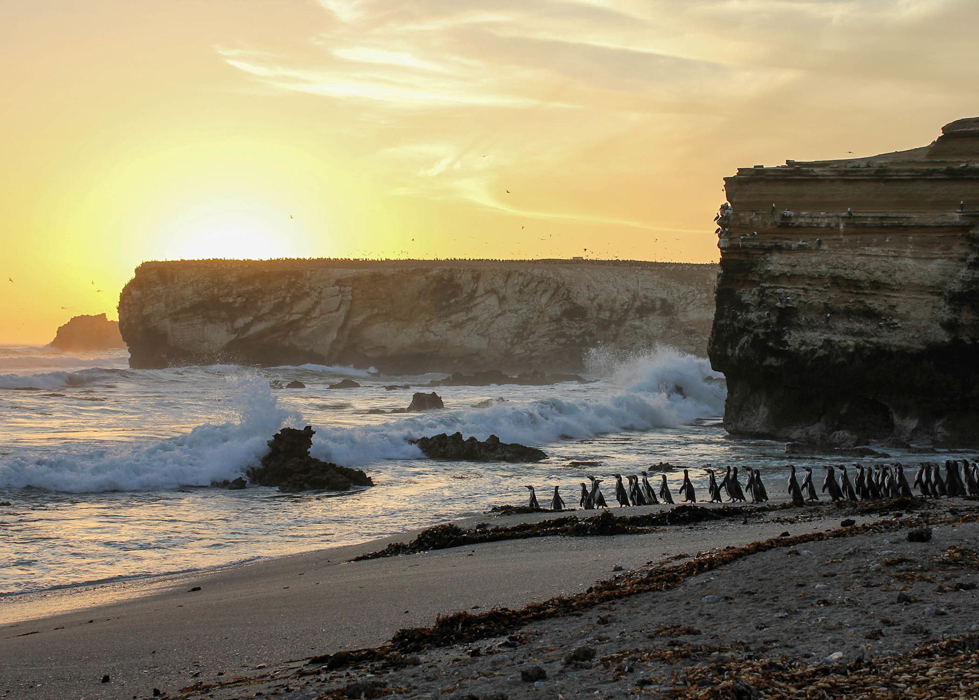 A sunset over the beach of Punta San Juan, where penguins are walking. 