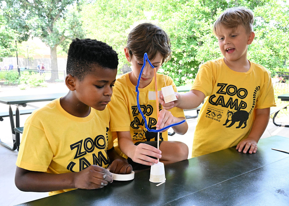 Three students look at an experiment with a cup and pipe cleaner. 
