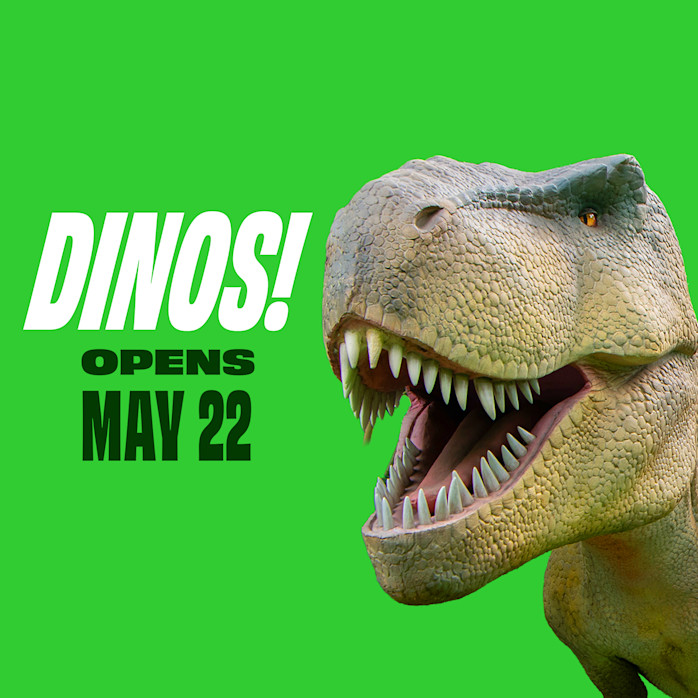 An image of a t-rex over a bright green background that says, "DINOS! OPENS MAY 22"