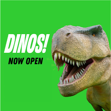 An image of a t-rex over a bright green background that says, "DINOS! OPENS MAY 22"