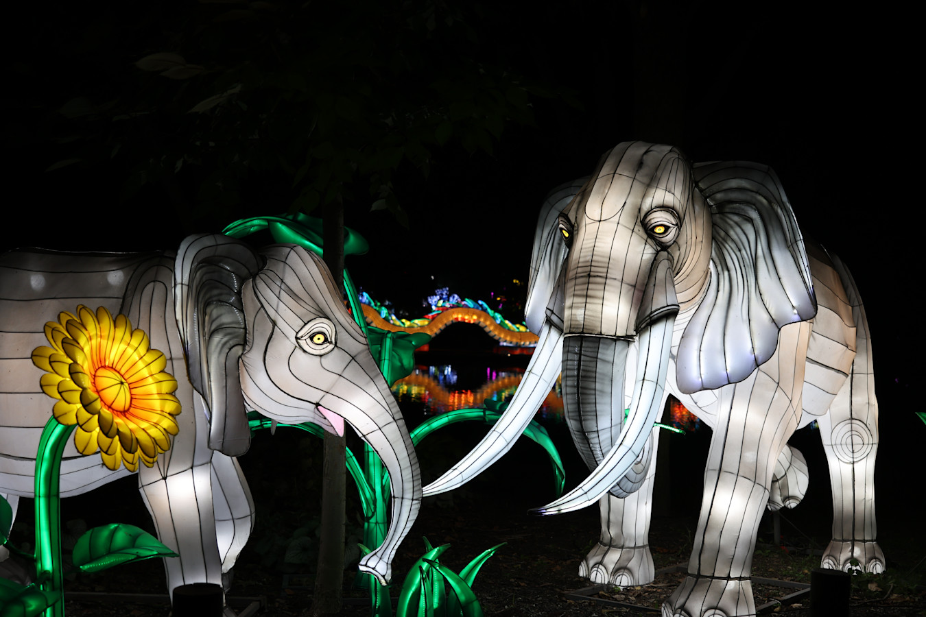 two elephant lanterns next to a sunflower lantern