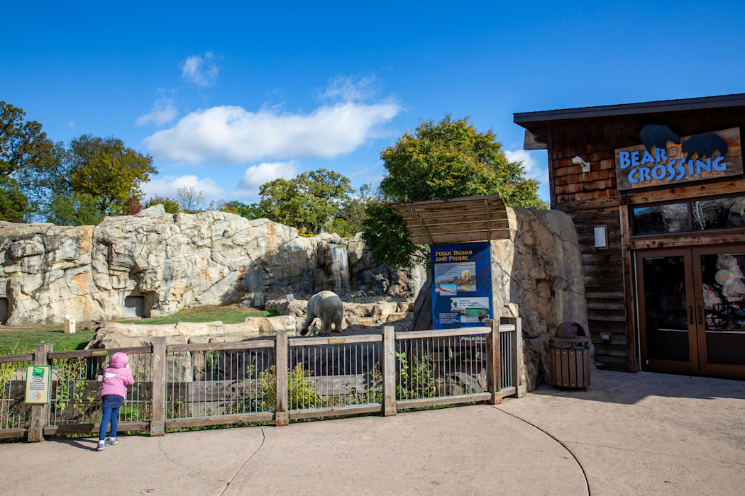 The Bear Crossing gift shop, featured next to the bear habitat. 