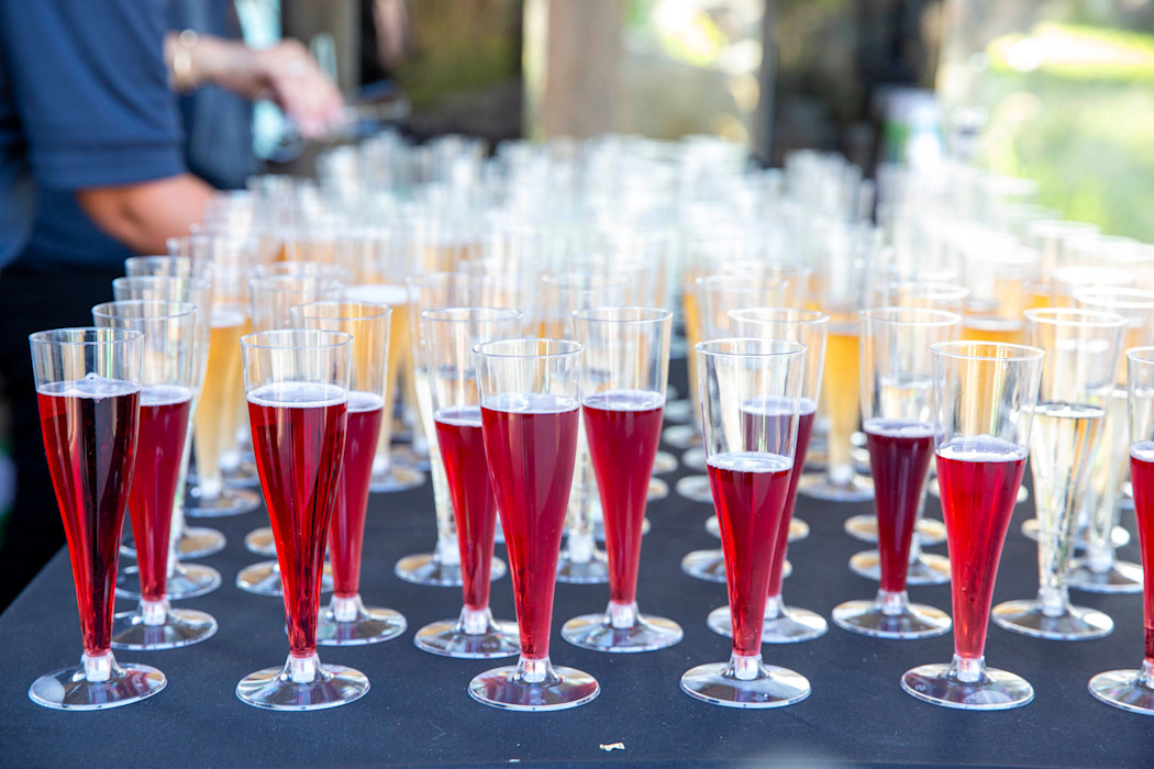 A table with champagne flutes filled with wine. 