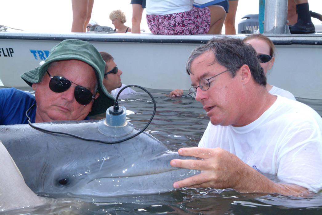 Dr. Randall Wells in the water with a bottlenose dolphin near a boat