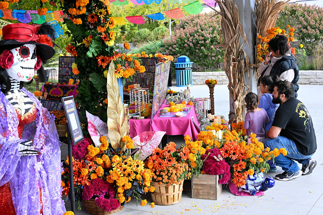 Brightly colored flowers surround an ofrenda featuring beloved pets. 