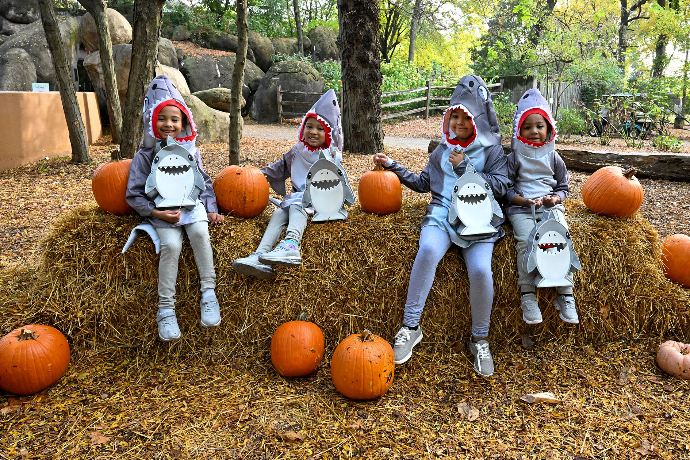 A group of children are dressed up in shark costumes.