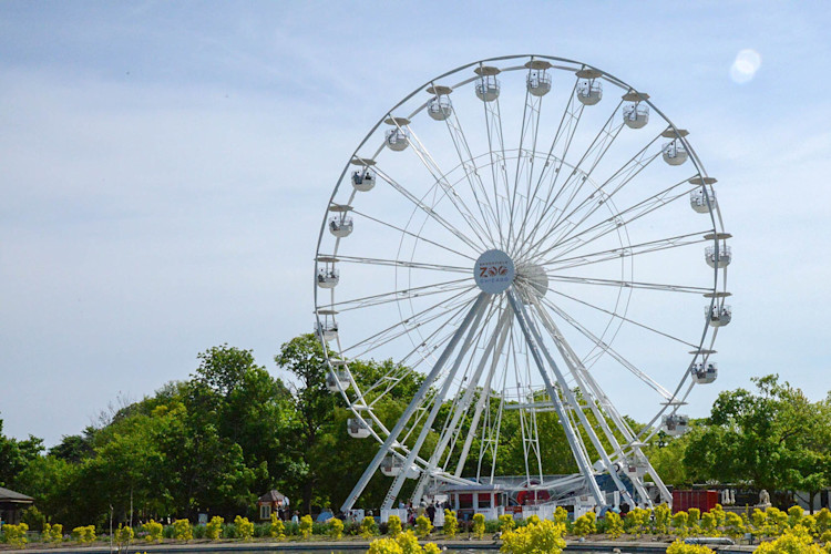 ferris-wheel