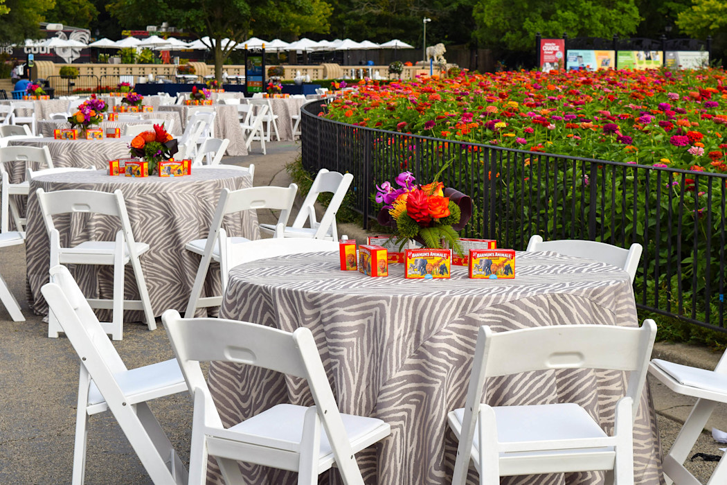 Tables are set up at the Zoo, with zebra patterned table cloths and animal crackers. 