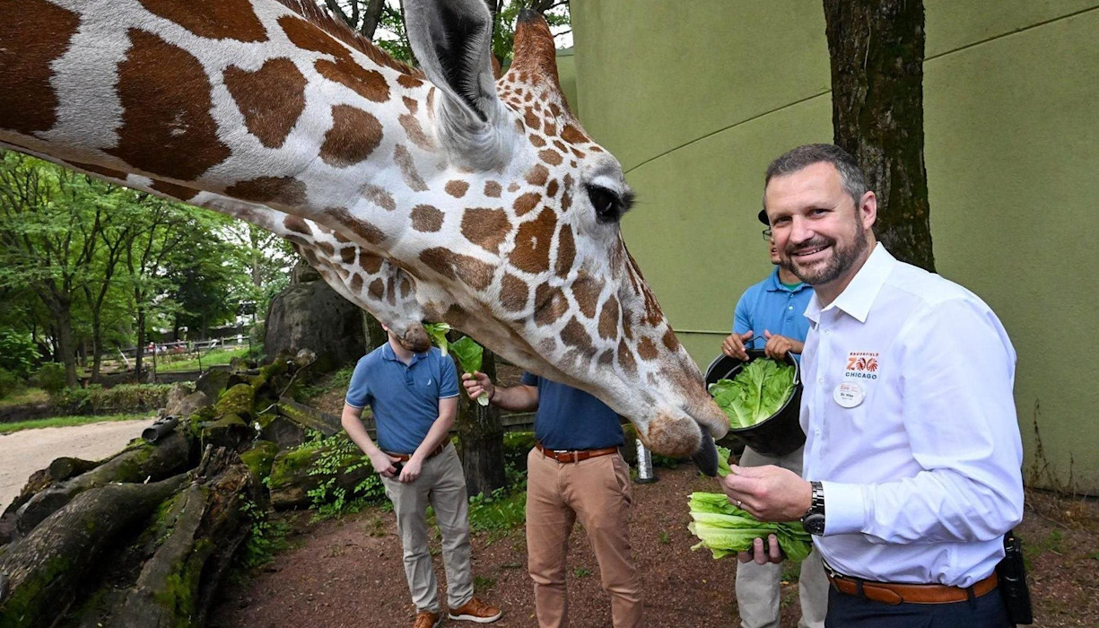 Brookfield Zoo Chicago's CEO Dr. Mike Adkesson feeds a giraffe.